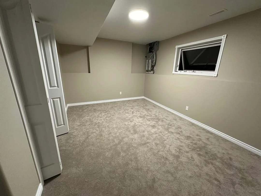 Basement Finishing — photo 3 of 6