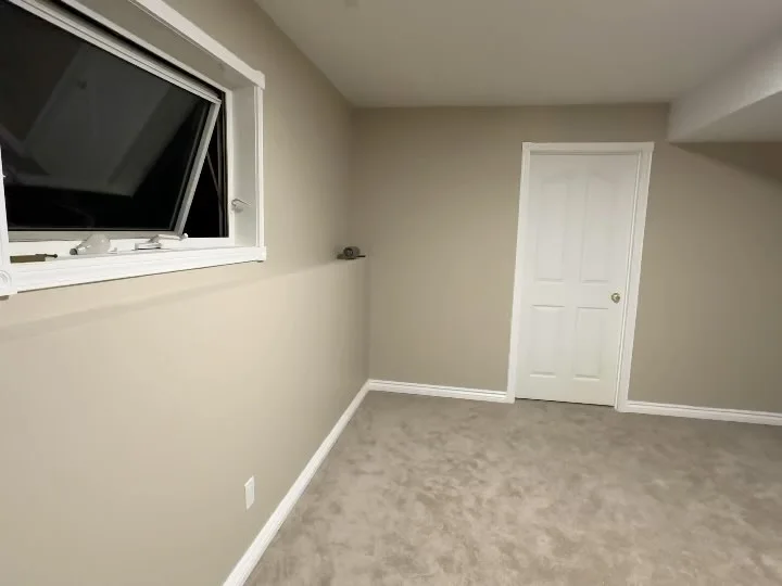 Basement Finishing — photo 4 of 6
